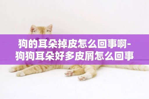 狗的耳朵掉皮怎么回事啊-狗狗耳朵好多皮屑怎么回事經常撓