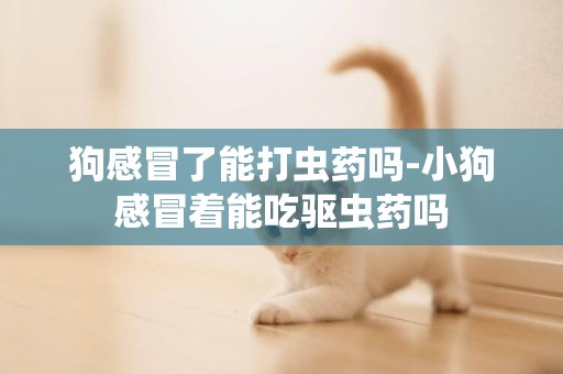 狗感冒了能打蟲藥嗎-小狗感冒著能吃驅蟲藥嗎