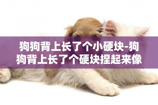 狗狗背上長了個小硬塊-狗狗背上長了個硬塊捏起來像濟濃一樣