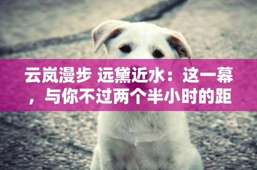 云嵐漫步 遠黛近水：這一幕，與你不過兩個半小時的距離 