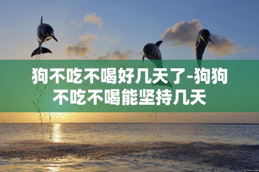 狗不吃不喝好幾天了-狗狗不吃不喝能堅持幾天