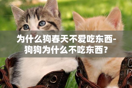 為什么狗春天不愛吃東西-狗狗為什么不吃東西？