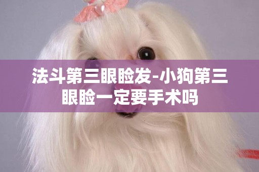 法斗第三眼瞼發-小狗第三眼瞼一定要手術嗎