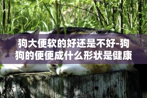 狗大便軟的好還是不好-狗狗的便便成什么形狀是健康表現，硬的好還是軟的好