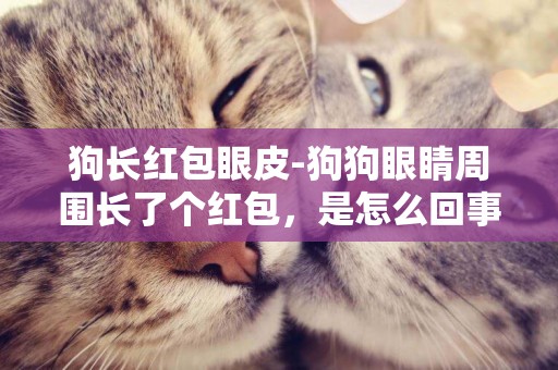 狗長紅包眼皮-狗狗眼睛周圍長了個紅包，是怎么回事