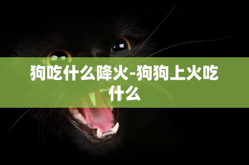 狗吃什么降火-狗狗上火吃什么