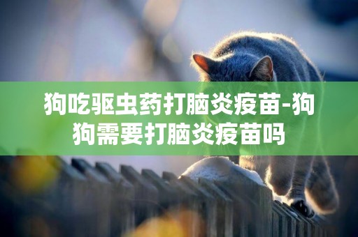 狗吃驅蟲藥打腦炎疫苗-狗狗需要打腦炎疫苗嗎