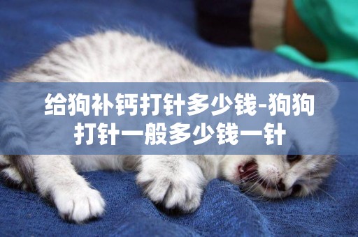 給狗補鈣打針多少錢-狗狗打針一般多少錢一針