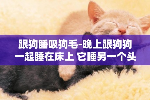 跟狗睡吸狗毛-晚上跟狗狗一起睡在床上 它睡另一個頭的被子上要緊？