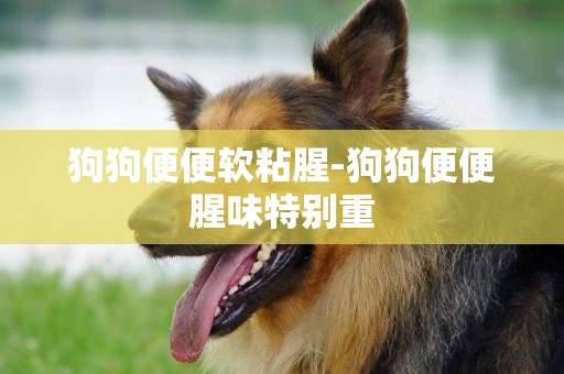 狗狗便便軟粘腥-狗狗便便腥味特別重