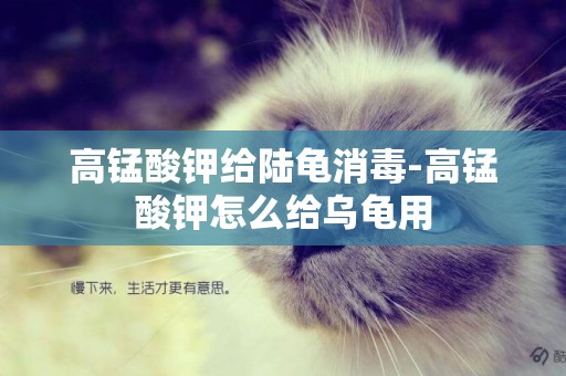 高錳酸鉀給陸龜消毒-高錳酸鉀怎么給烏龜用