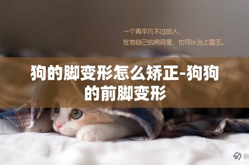 狗的腳變形怎么矯正-狗狗的前腳變形