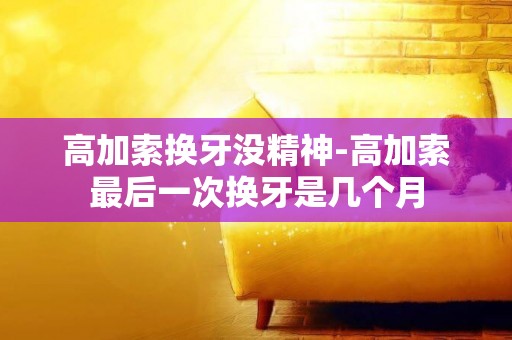 高加索換牙沒精神-高加索最后一次換牙是幾個月