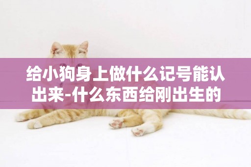給小狗身上做什么記號能認出來-什么東西給剛出生的小狗做標記