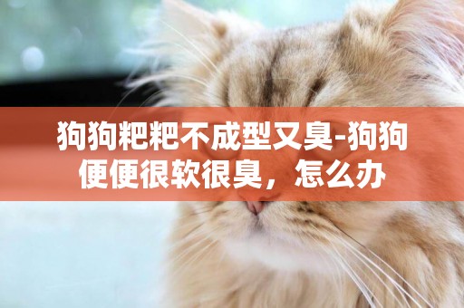 狗狗粑粑不成型又臭-狗狗便便很軟很臭，怎么辦