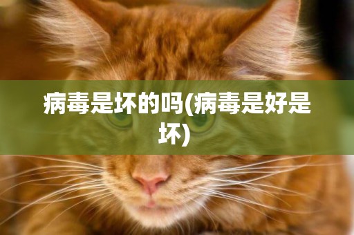 病毒是壞的嗎(病毒是好是壞) 