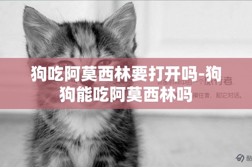 狗吃阿莫西林要打開嗎-狗狗能吃阿莫西林嗎