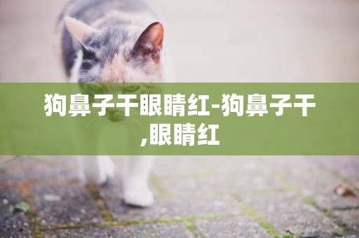 狗鼻子干眼睛紅-狗鼻子干,眼睛紅