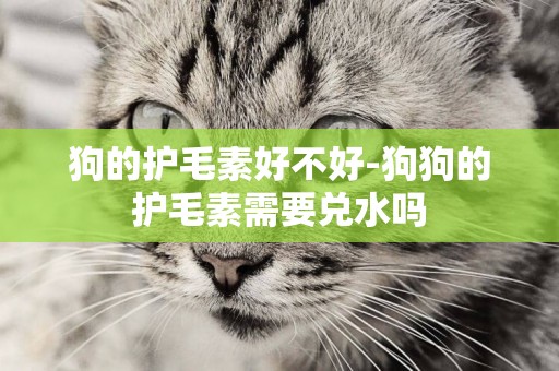 狗的護毛素好不好-狗狗的護毛素需要兌水嗎