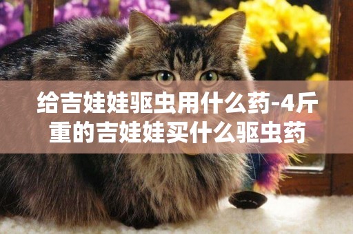 給吉娃娃驅蟲用什么藥-4斤重的吉娃娃買什么驅蟲藥