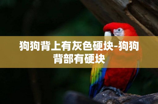狗狗背上有灰色硬塊-狗狗背部有硬塊