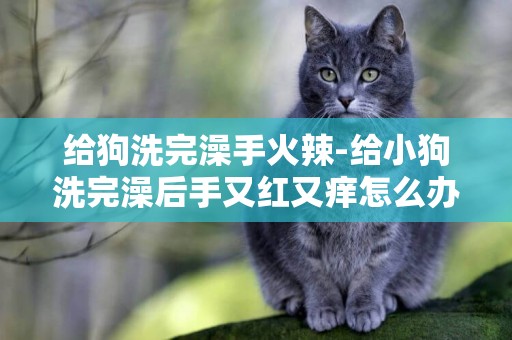 給狗洗完澡手火辣-給小狗洗完澡后手又紅又癢怎么辦?