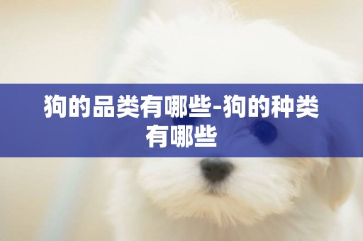 狗的品類有哪些-狗的種類有哪些