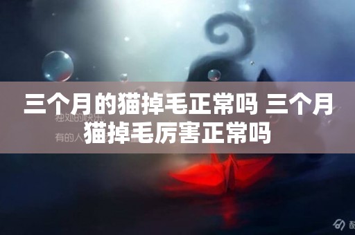 三個月的貓掉毛正常嗎 三個月貓掉毛厲害正常嗎