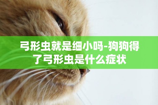 弓形蟲就是細小嗎-狗狗得了弓形蟲是什么癥狀