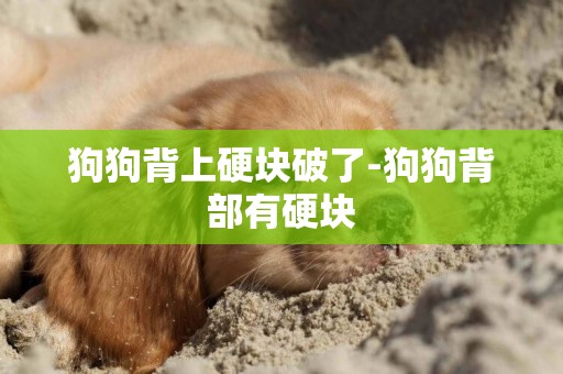 狗狗背上硬塊破了-狗狗背部有硬塊