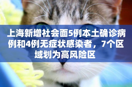 上海新增社會面5例本土確診病例和4例無癥狀感染者，7個區域劃為高風險區 