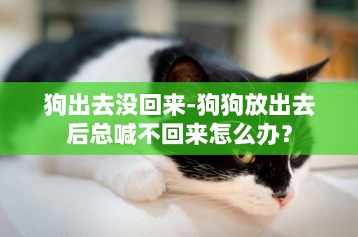 狗出去沒回來-狗狗放出去后總喊不回來怎么辦？