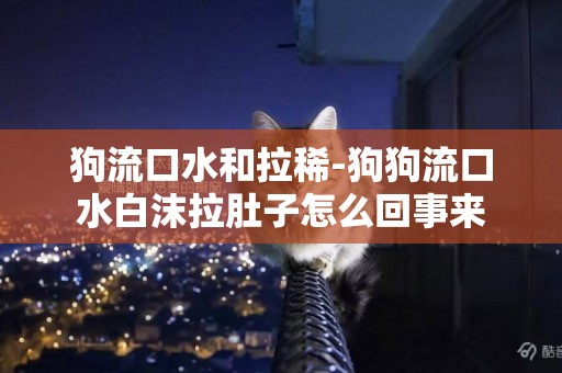 狗流口水和拉稀-狗狗流口水白沫拉肚子怎么回事來