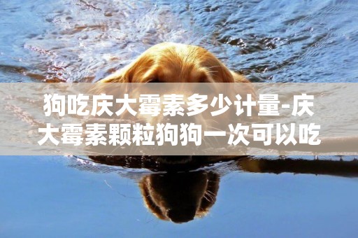 狗吃慶大霉素多少計量-慶大霉素顆粒狗狗一次可以吃多少