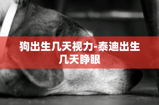 狗出生幾天視力-泰迪出生幾天睜眼