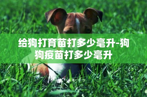 給狗打育苗打多少毫升-狗狗疫苗打多少毫升