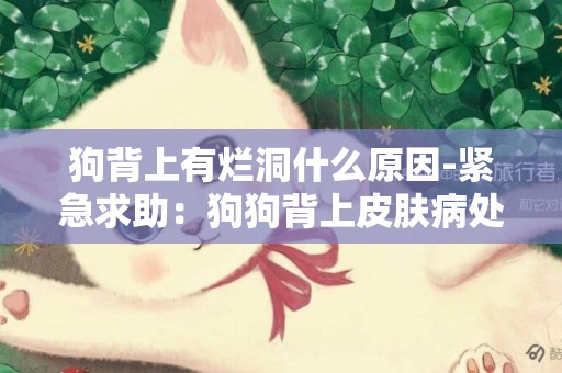 狗背上有爛洞什么原因-緊急求助：狗狗背上皮膚病處爛了個洞