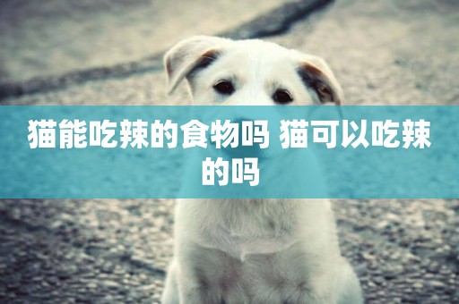 貓能吃辣的食物嗎 貓可以吃辣的嗎