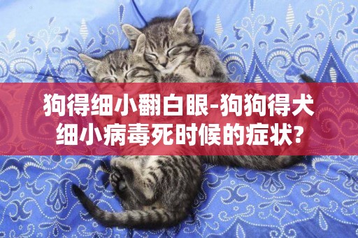 狗得細小翻白眼-狗狗得犬細小病毒死時候的癥狀?