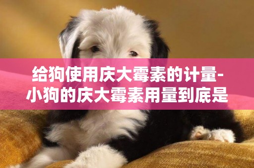給狗使用慶大霉素的計量-小狗的慶大霉素用量到底是多少錒.!