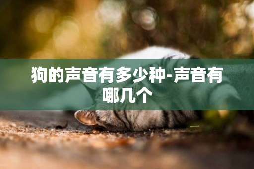 狗的聲音有多少種-聲音有哪幾個