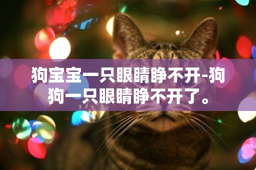 狗寶寶一只眼睛睜不開-狗狗一只眼睛睜不開了。