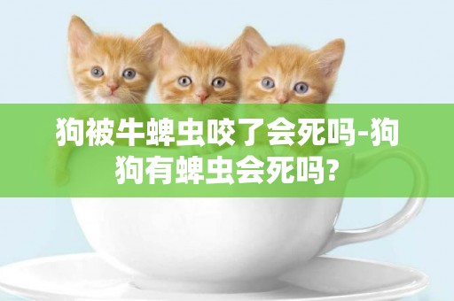 狗被牛蜱蟲咬了會死嗎-狗狗有蜱蟲會死嗎?