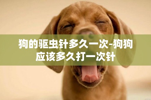 狗的驅蟲針多久一次-狗狗應該多久打一次針