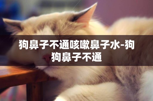 狗鼻子不通咳嗽鼻子水-狗狗鼻子不通