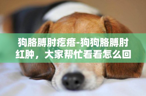 狗胳膊肘疙瘩-狗狗胳膊肘紅腫，大家幫忙看看怎么回事