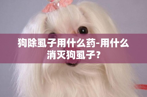 狗除虱子用什么藥-用什么消滅狗虱子？