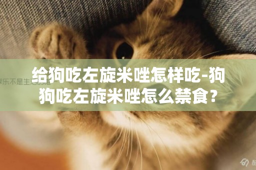 給狗吃左旋米唑怎樣吃-狗狗吃左旋米唑怎么禁食？