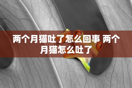 兩個月貓吐了怎么回事 兩個月貓怎么吐了