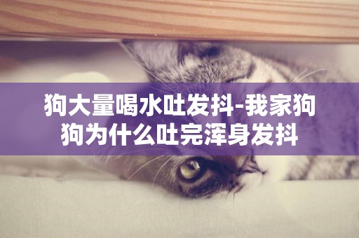 狗大量喝水吐發抖-我家狗狗為什么吐完渾身發抖